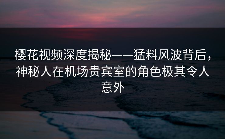 樱花视频深度揭秘——猛料风波背后，神秘人在机场贵宾室的角色极其令人意外