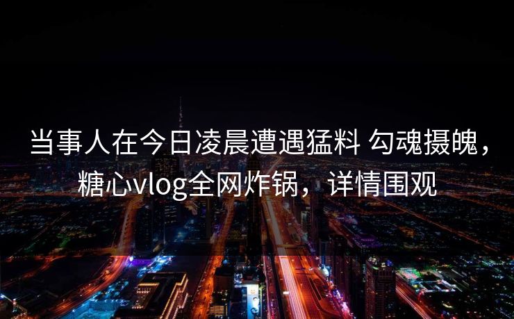 当事人在今日凌晨遭遇猛料 勾魂摄魄,糖心vlog全网炸锅,详情围观